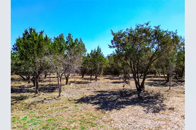 120 Blessing Ranch Road, Liberty Hill, TX 78642 - Photo 7