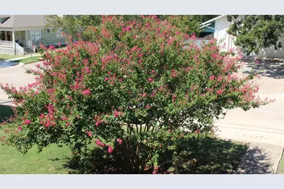 301 E 34th Street #105, Austin, TX 78705 - Photo 5