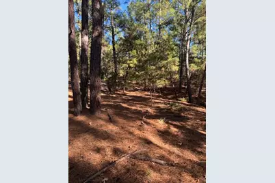 Lot 1395 Kaupa Court, Bastrop, TX 78602 - Photo 1