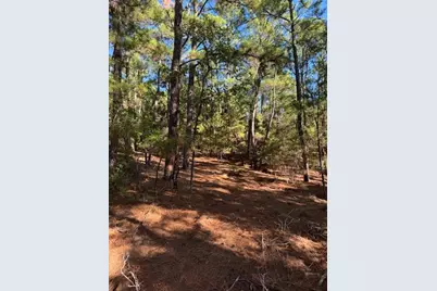 Lot 1395 Kaupa Court, Bastrop, TX 78602 - Photo 3