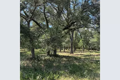 2477 State Highway 159, La Grange, TX 78945 - Photo 5