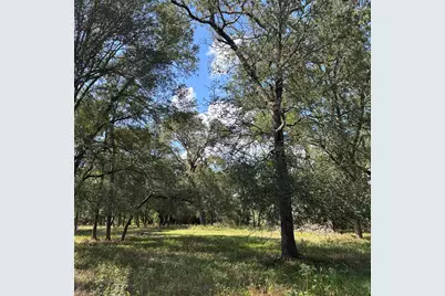 2477 State Highway 159, La Grange, TX 78945 - Photo 9