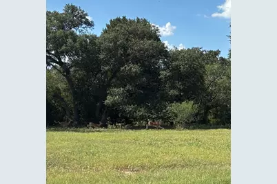 2477 State Highway 159, La Grange, TX 78945 - Photo 11