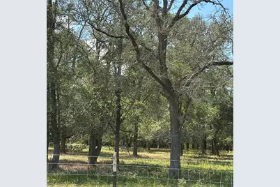 2477 State Highway 159, La Grange, TX 78945 - Photo 3