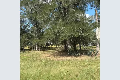 2477 State Highway 159, La Grange, TX 78945 - Photo 3