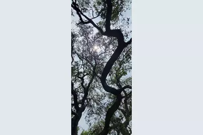 1391 Covered Wagon, Spring Branch, TX 78070 - Photo 7