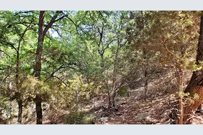 650 Beauchamp Road, Dripping Springs, TX 78620 - Photo 9