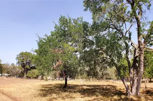 650 Beauchamp Rd, Dripping Springs, TX 78620 - Photo 1