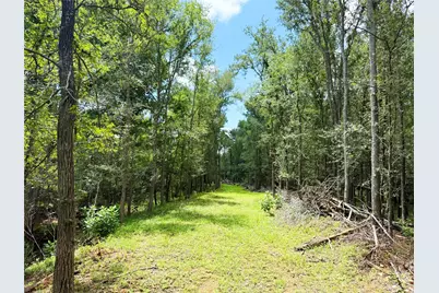 141 Grassyville Road, Paige, TX 78659 - Photo 27