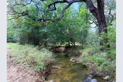141 Grassyville Road, Paige, TX 78659 - Photo 3