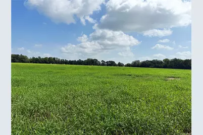 141 Grassyville Road, Paige, TX 78659 - Photo 33