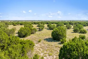000 Watson-Yeary Rd, Lampasas, TX 76550 - Photo 13