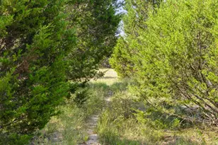 000 Watson-Yeary Rd, Lampasas, TX 76550 - Photo 29