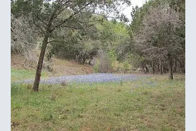 350 Bluff Road, Spicewood, TX 78669 - Photo 7