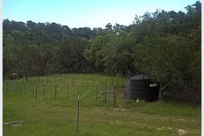 350 Bluff Road, Spicewood, TX 78669 - Photo 3