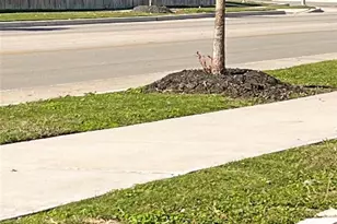 112 Skipping Stone Ln, San Marcos, TX 78666 - Photo 13