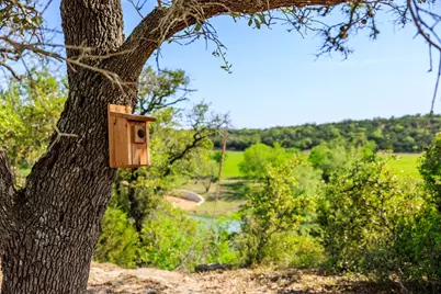 Lot 2 Byrd Ranch Road, Johnson City, TX 78636 - Photo 27