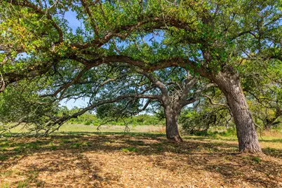 Lot 2 Byrd Ranch Road, Johnson City, TX 78636 - Photo 29