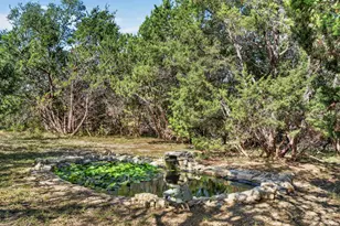 31887 Mirela Ann Ln, Dripping Springs, TX 78620 - Photo 29