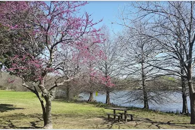 3900 Lemos Drive, Austin, TX 78728 - Photo 31