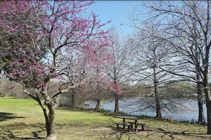 3900 Lemos Dr, Austin, TX 78728 - Photo 31