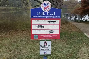 3900 Lemos Dr, Austin, TX 78728 - Photo 29