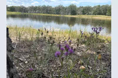 2250 Old Lockhart Road, Plum, TX 78952 - Photo 17