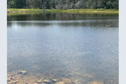 2250 Old Lockhart Road, Plum, TX 78952 - Photo 19