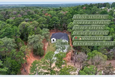 190 Molokini Drive, Bastrop, TX 78602 - Photo 1