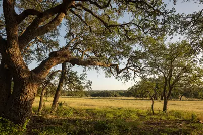 2427 Prochnow Road, Dripping Springs, TX 78620 - Photo 1