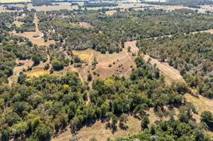 1949 County Road 347 Loop, Gause, TX 77857 - Photo 29
