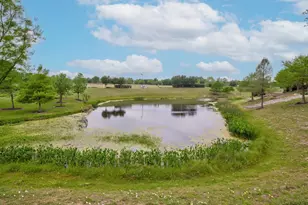 707 Eves Necklace Dr., Buda, TX 78610 - Photo 31