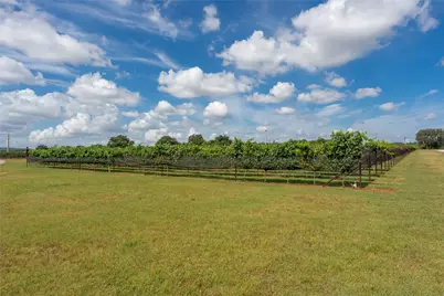 Tbd Wine Trail Drive, Johnson City, TX 78636 - Photo 31