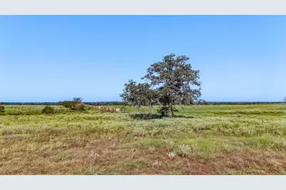 Tbd County Road 326 (Tract 3), Giddings, TX 78942 - Photo 5