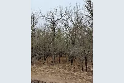 140 W Pauwela Lane, Bastrop, TX 78602 - Photo 3