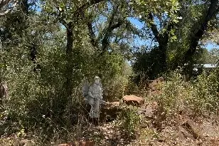 409 County Road 138 Rd, Burnet, TX 78611 - Photo 17