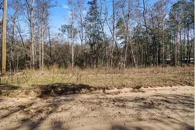 Tract 69 Northcrest Drive, Livingston, TX 77351 - Photo 5