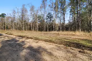 Tract 69 Northcrest Dr, Livingston, TX 77351 - Photo 1