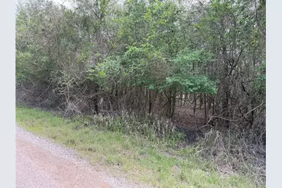 305 Nene Lane, Bastrop, TX 78602 - Photo 5
