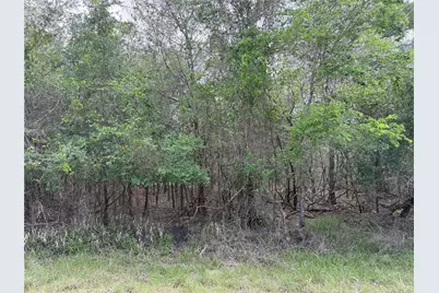 305 Nene Lane, Bastrop, TX 78602 - Photo 3