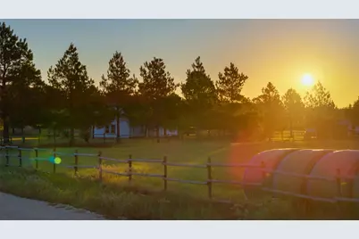 245 Country Lane, McDade, TX 78650 - Photo 29