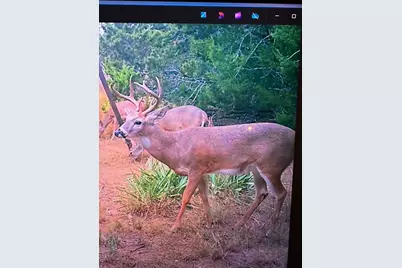 0 US Hwy 183 N Highway, Lometa, TX 76853 - Photo 3