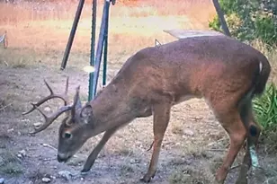 0 US Hwy 183 N Hwy, Lometa, TX 76853 - Photo 1