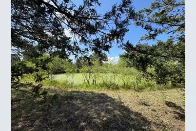 13115 Schoenemann Road, Carmine, TX 78932 - Photo 9