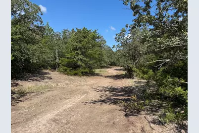 13115 Schoenemann Road, Carmine, TX 78932 - Photo 5