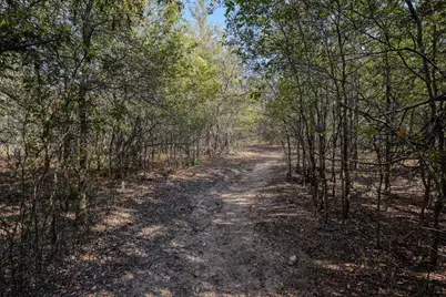 183 Clover Road, Cedar Creek, TX 78612 - Photo 9