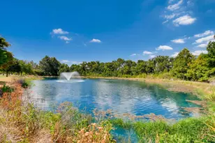 828 Niobrara River Dr, Pflugerville, TX 78660 - Photo 15