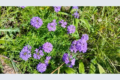 857 NW Dallas Josie Rd, Harper, TX 78631 - Photo 21