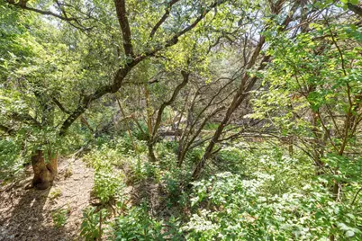4711 Spicewood Springs Road #4-222, Austin, TX 78759 - Photo 27
