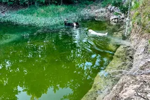 1930 S Rainbow Ranch Rd, Wimberley, TX 78676 - Photo 25